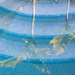 Home2book Design Asian Sabina, Heated Pool & View Vila Sauzal